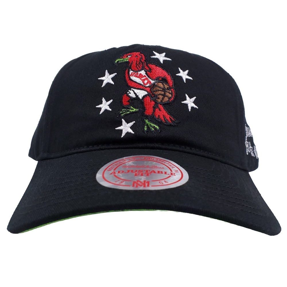 Future Atlanta Hawks Mitchell & Ness NBA Dad Hat Cap BR Remix Black NWT